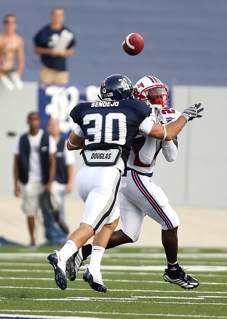 署之一的地 署之一的地